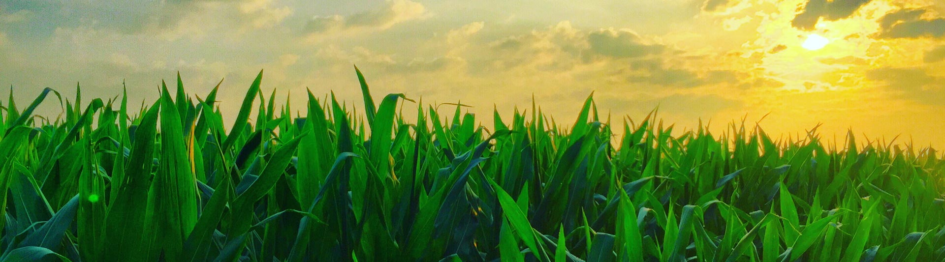 Virginia Agricultural Helicopter Services